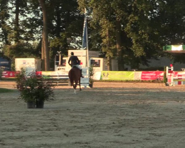 Reitturnier Datteln 2016
