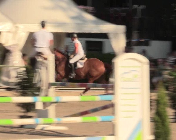 Reitturnier Datteln 2016