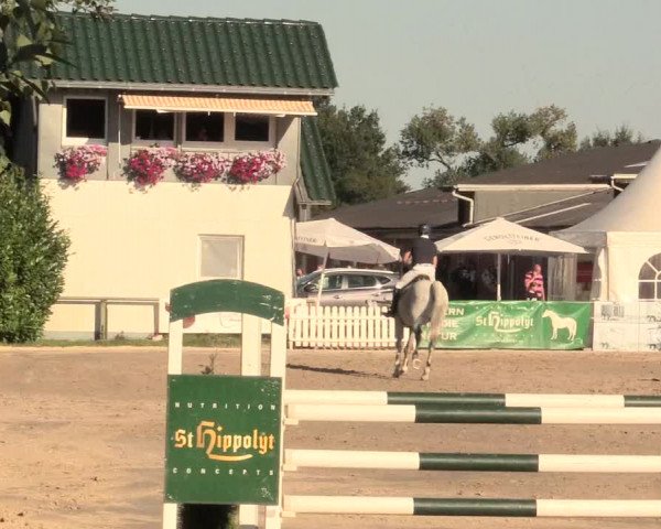 Reitturnier Datteln 2016