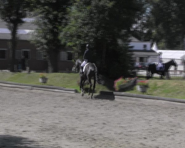 Reitturnier Datteln 2016