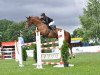 jumper Chevignon (German Sport Horse, 2006, from Celentano)