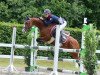 jumper AMD Delaveau (German Riding Pony, 2014, from Da Capo)