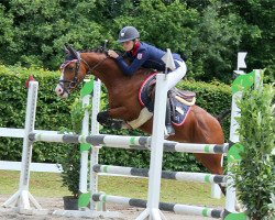 Springpferd AMD Delaveau (Deutsches Reitpony, 2014, von Da Capo)