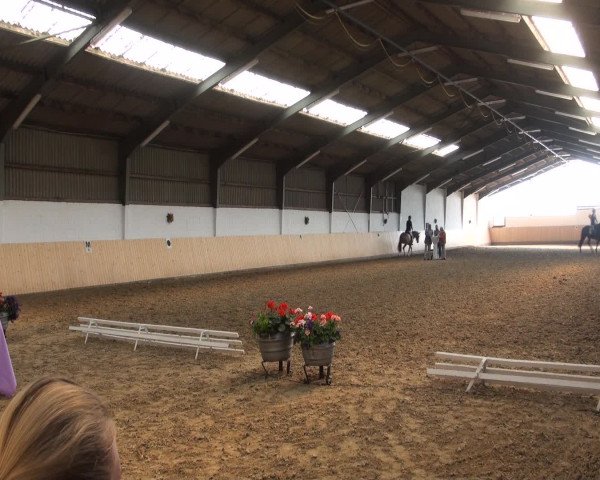 Reitturnier Datteln 2016