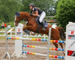 jumper Goliath 324 (KWPN (Royal Dutch Sporthorse), 2011, from Unieko)