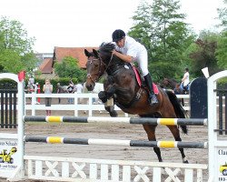 jumper Etienne 122 (Hanoverian, 2005, from Escudo I)