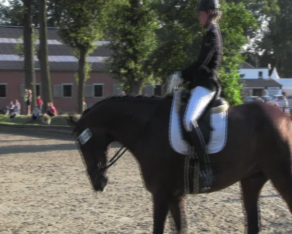 Reitturnier Datteln 2016