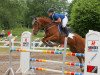 jumper Lexi Lady K (Oldenburg show jumper, 2012, from Lake Tahoe)