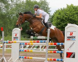 jumper Fyca (KWPN (Royal Dutch Sporthorse), 2010, from Applaus)