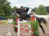 jumper Cody E (Oldenburg show jumper, 2011, from Corlensky G)