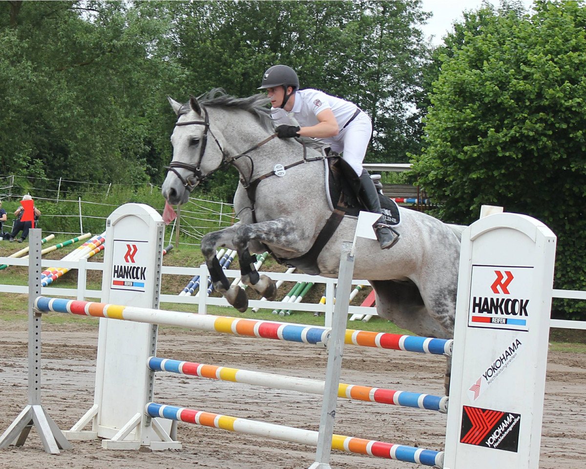 Zuchtstute Asjeblief van het Bagoniebos (Belgisches Warmblut, 2006, von Couterro U)