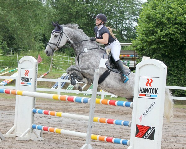jumper Raffinesse 122 (German Sport Horse, 2011, from Ramiro's Son II)