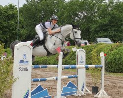 jumper Dumbo Brimbelles (Zangersheide riding horse, 2010, from Darco)