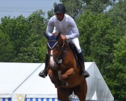 broodmare Ilse van Eijken (KWPN (Royal Dutch Sporthorse), 2013, from Emerald van 't Ruytershof)