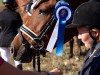 dressage horse Floraunce (German Riding Pony, 2014, from New Delight)