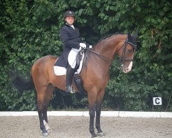 dressage horse De Lago (Oldenburg, 2004, from Don Romantic)