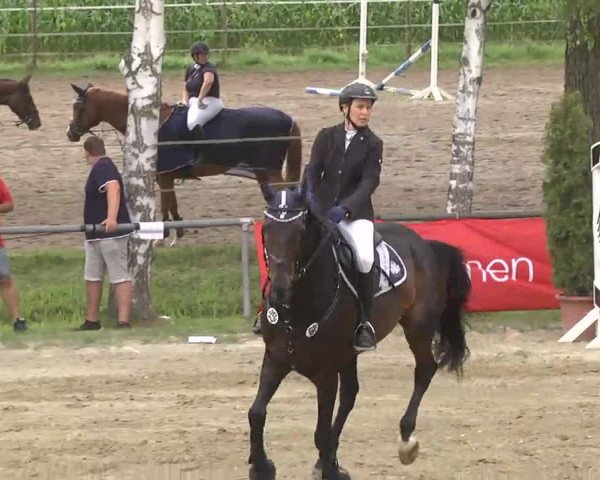 Reitturnier Königsbach 2016