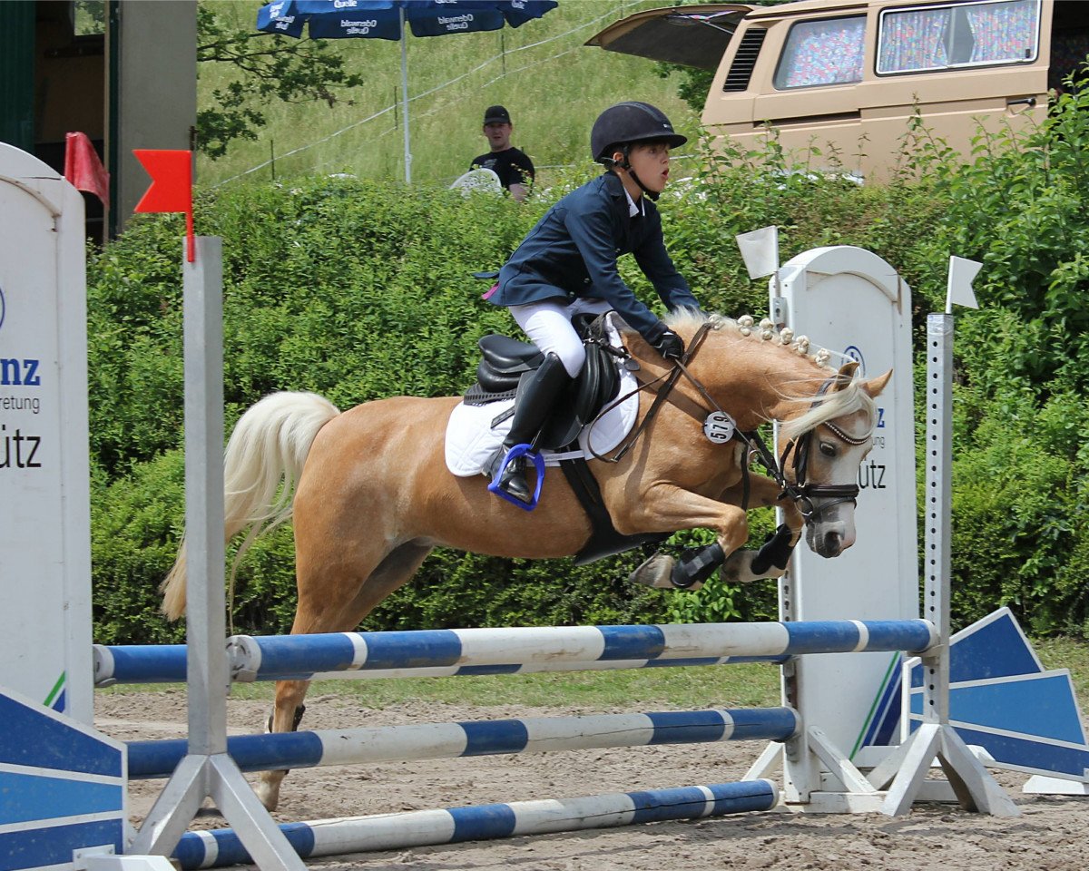 jumper My Little Barbie (German Riding Pony, 2013, from The Braes My Mobility)