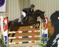 Springpferd Himalaya of The Huts (KWPN (Niederländisches Warmblut), 2012, von Balou du Rouet)