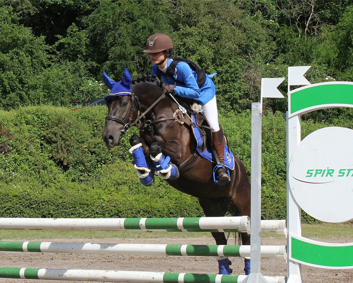 dressage horse Richelle (KWPN (Royal Dutch Sporthorse), 2013)