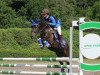 dressage horse Richelle (KWPN (Royal Dutch Sporthorse), 2013)