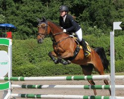 dressage horse Beauty (unknown, 2012)