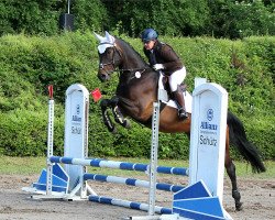 dressage horse Antares J (Trakehner, 2010, from Cadeau)