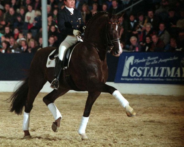 dressage horse Donnerhall (Oldenburg, 1981, from Donnerwetter)