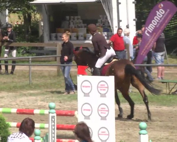 Reitturnier Königsbach 2016