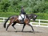 dressage horse Reanna B (Westphalian, 2007, from Rockford)