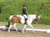 dressage horse Larimar 8 (unknown, 2010, from Unbekannt)