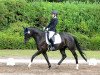 dressage horse Rolex 118 (Hanoverian, 2007, from Ritter Remus)