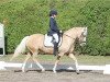 dressage horse Vanilla Sky (German Riding Pony, 2010, from Centauro's Golden Flashlight)