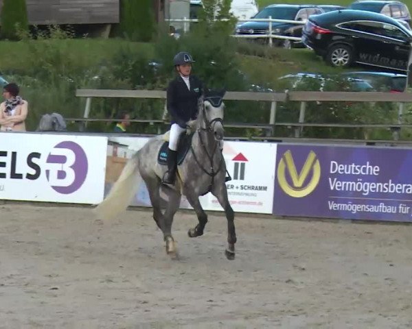 HORSE classics Killingen 2016