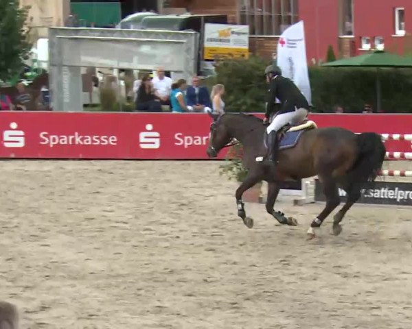 HORSE classics Killingen 2016