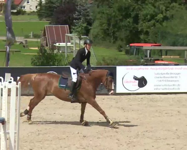 HORSE classics Killingen 2016