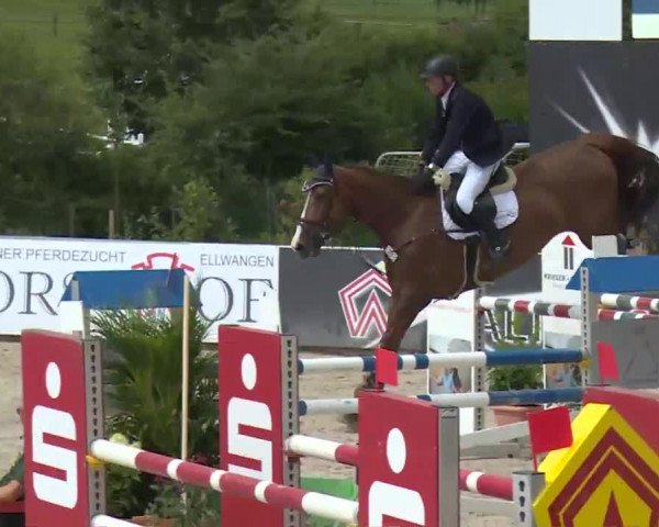 HORSE classics Killingen 2016