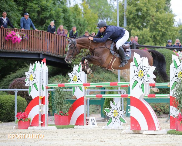 jumper Carolina (Bavarian, 2011, from Cornado NRW)