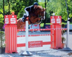 jumper A.J. 4 (Oldenburg show jumper, 2005, from Guidam)