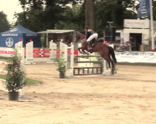 Reitturnier Datteln 2016