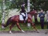 Dressurpferd Del Estonia (Deutsches Reitpony, 2015, von Del Estero NRW)