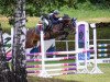 jumper Princes van de Wachemshoeve (Belgian Riding Pony, 2011, from Berkzicht Jekilja)