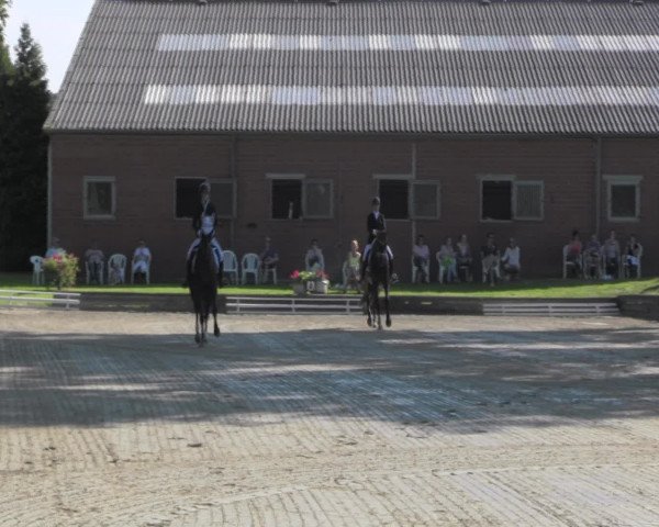 Reitturnier Datteln 2016