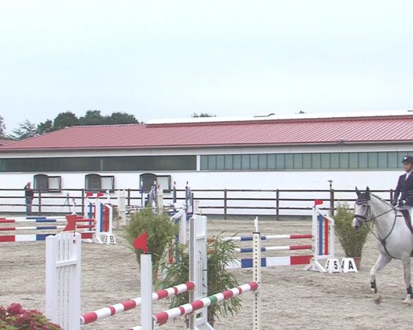 Reitturnier HH-Klein Offenseth/Hell-Stallion-Stud 2016