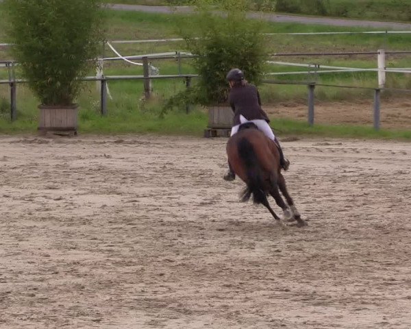 Sommerturnier Altenberge 2016