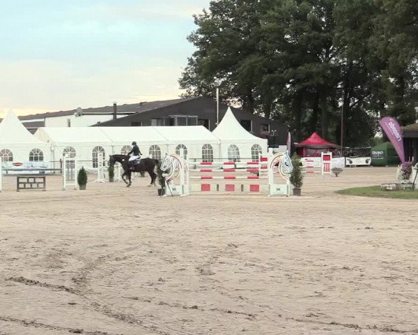 Reitturnier Datteln 2016