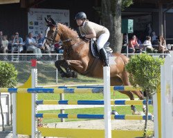 Springpferd For Fun CH (Schweizer Warmblut, 2005, von For Pleasure)