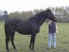 broodmare Silpara xx (Thoroughbred, 1997, from Monsun xx)