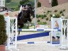 jumper Riana du Courtils CH (Swiss Warmblood, 2012, from JPC Rexito Z)