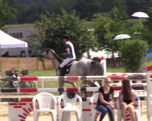 Reitturnier Menden 2016